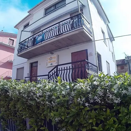 Birilli * Civitanova Marche